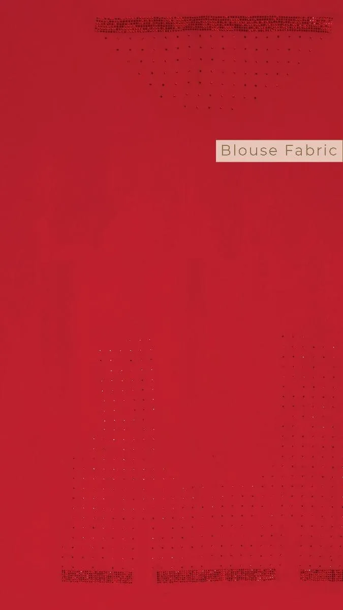 Red Embellished Saree