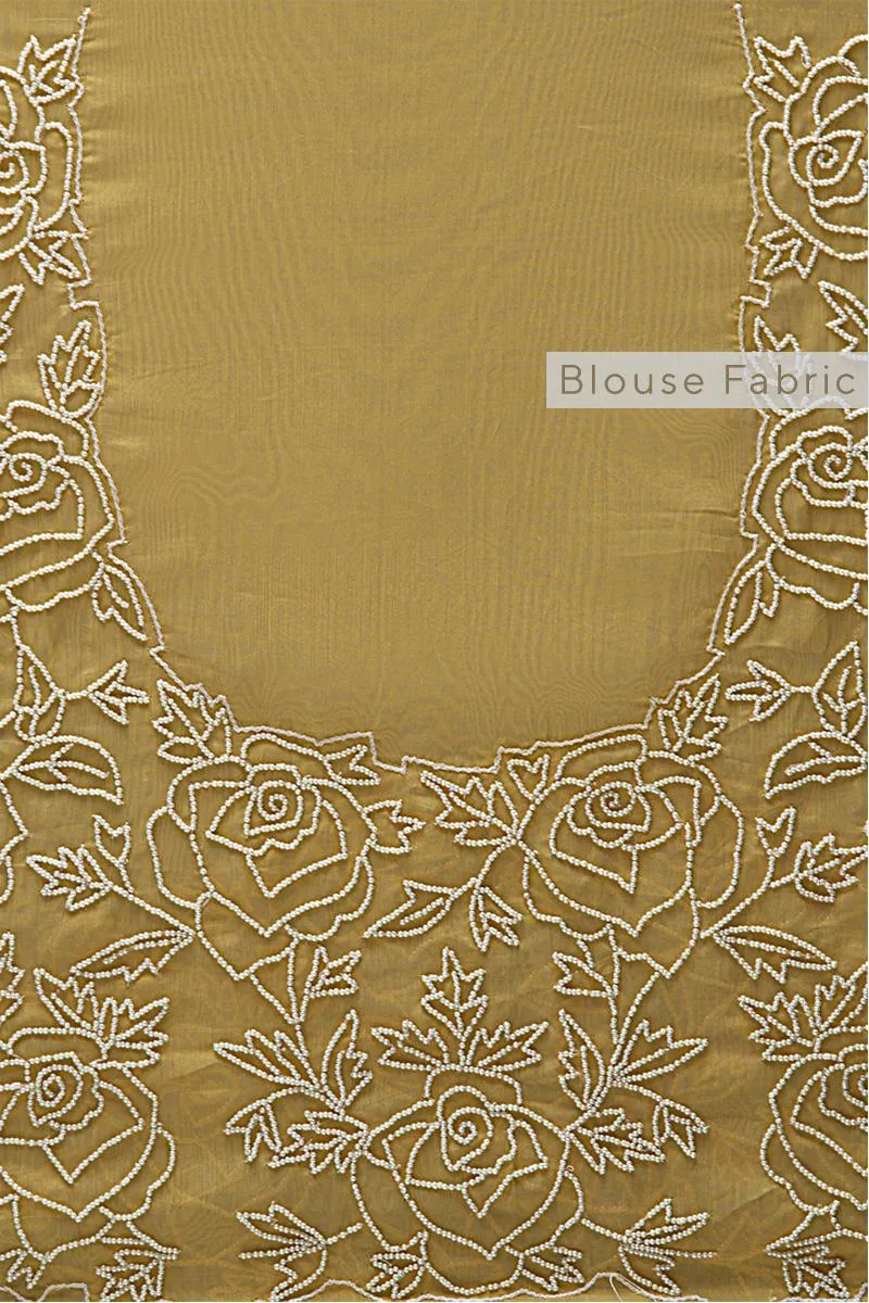 Mango Floral Organza Saree