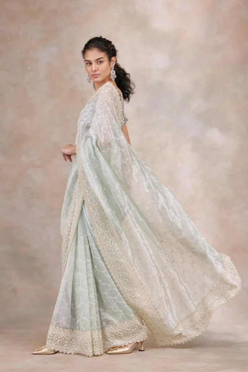 Fantasy Green Organza Saree