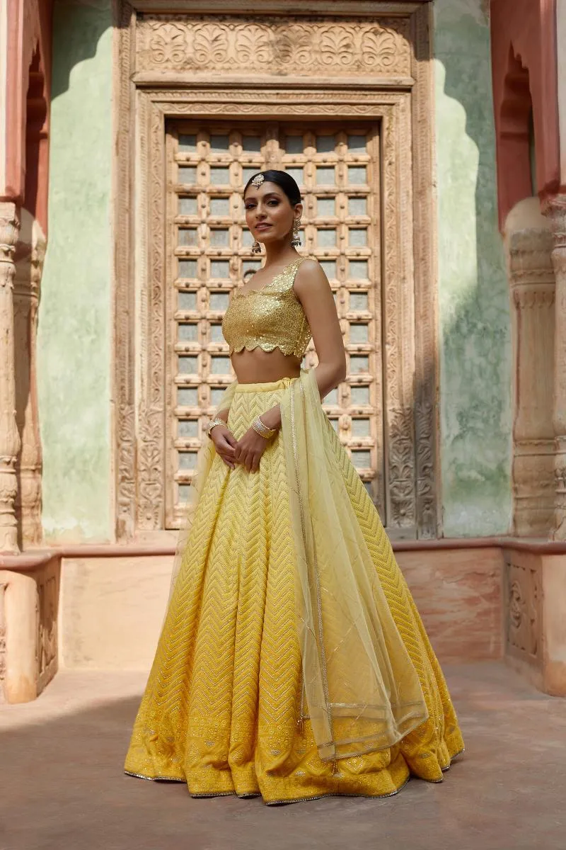 Yellows at Dusk Lehenga