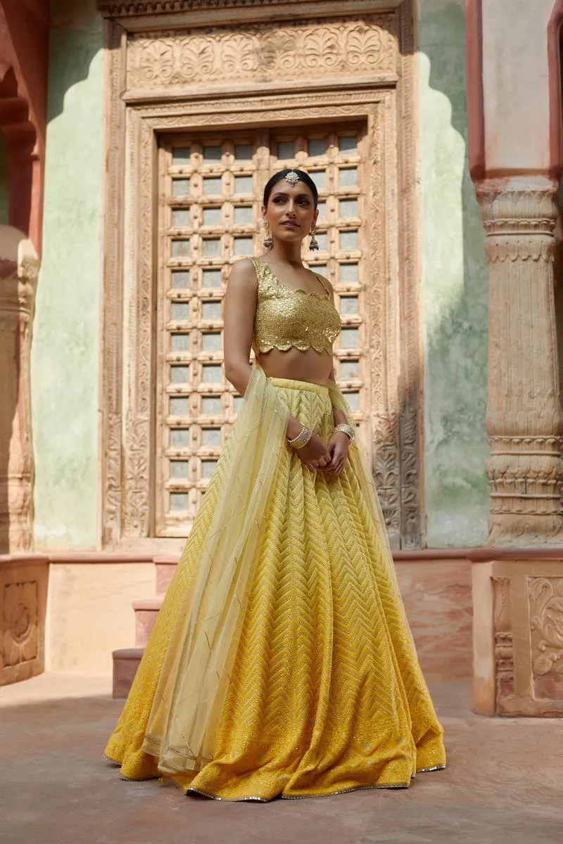 Yellows at Dusk Lehenga