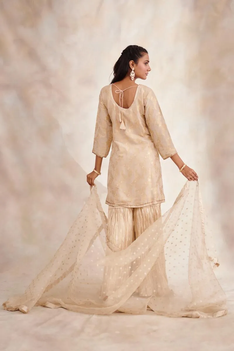 Beige Banarasi Garara Suit Set