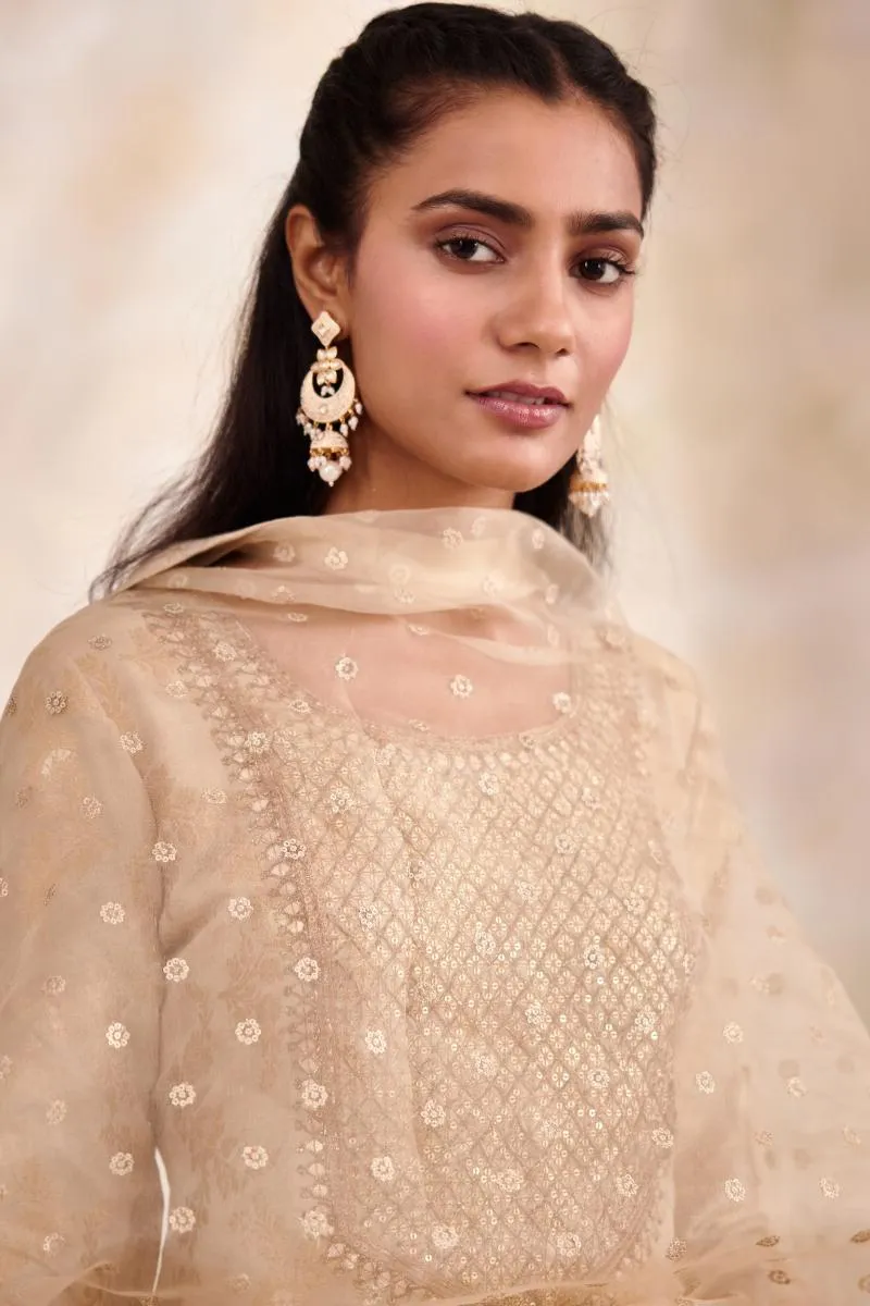 Beige Banarasi Garara Suit Set