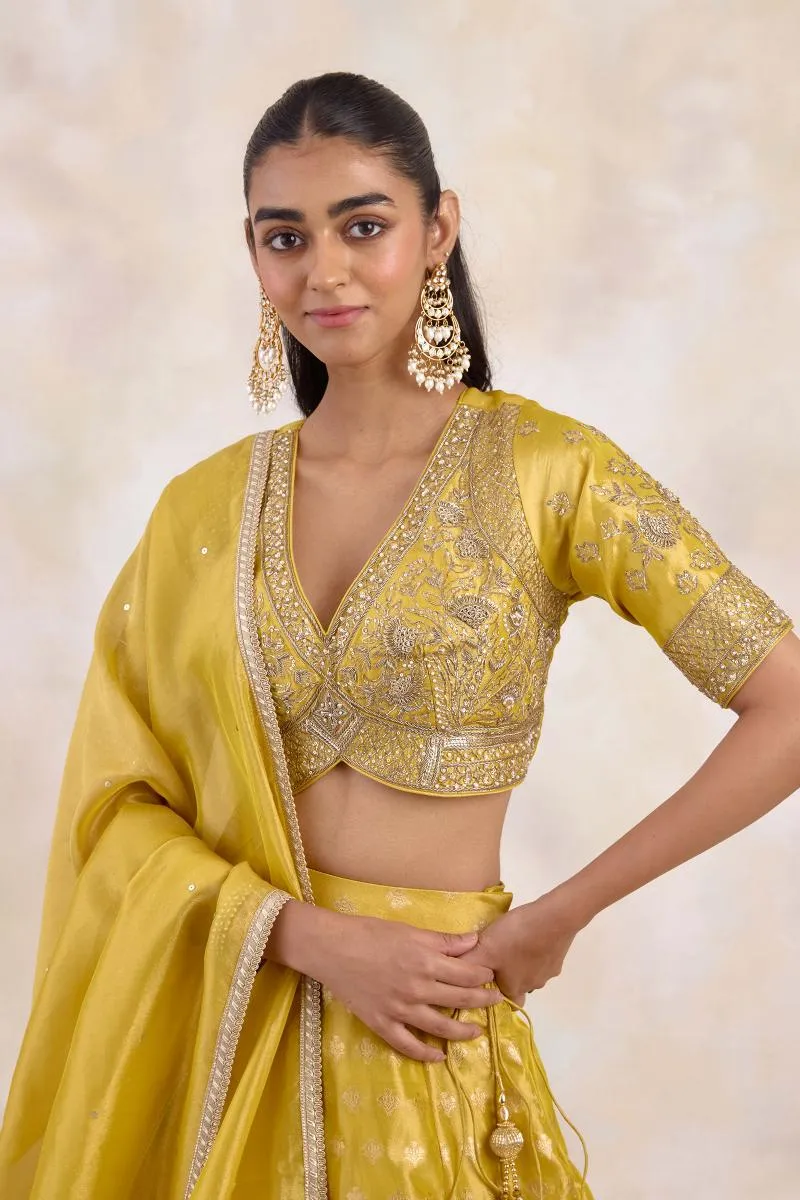 Burnished Mustard Lehenga Set