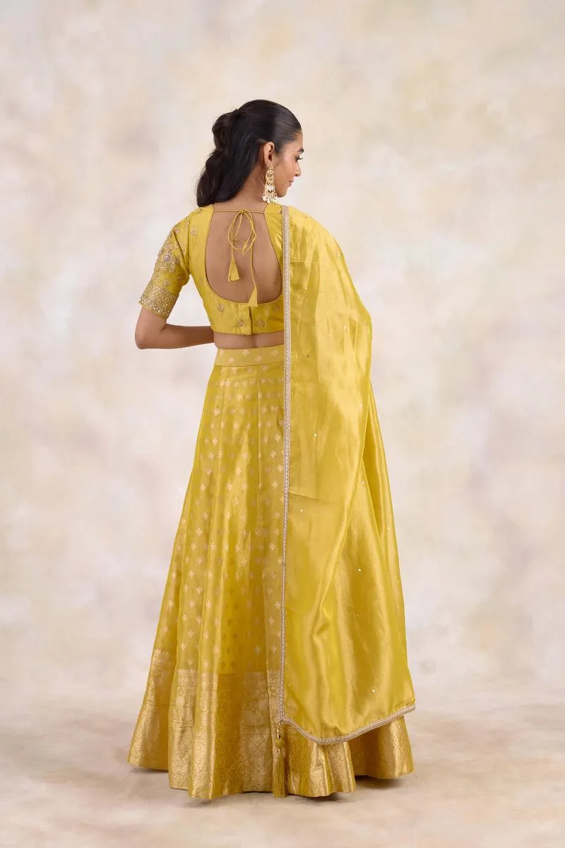 Burnished Mustard Lehenga Set