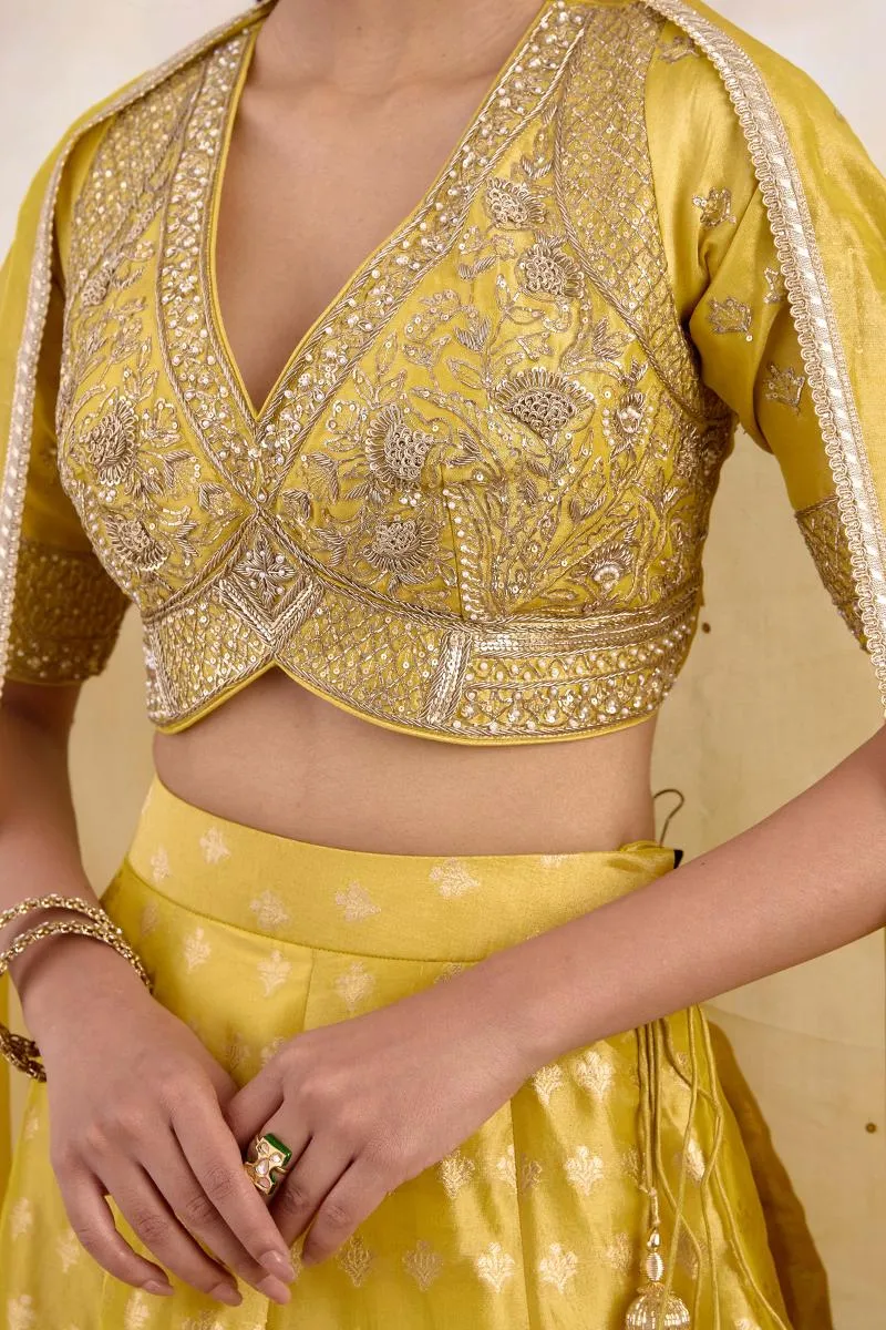 Burnished Mustard Lehenga Set