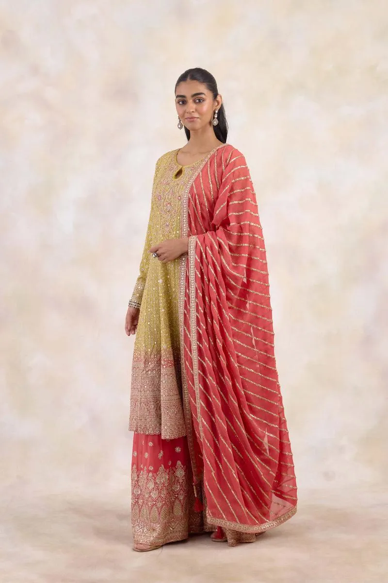 Honey Mustard Sharara Set