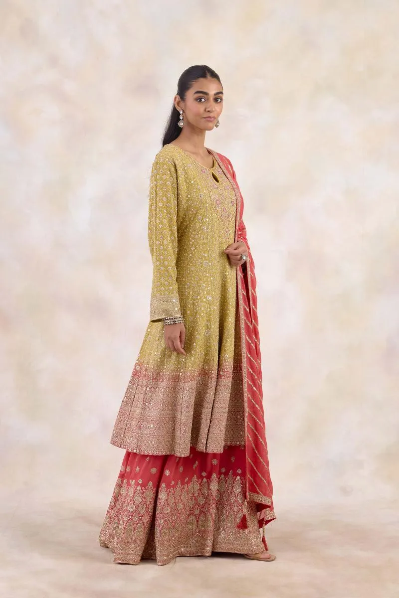 Honey Mustard Sharara Set