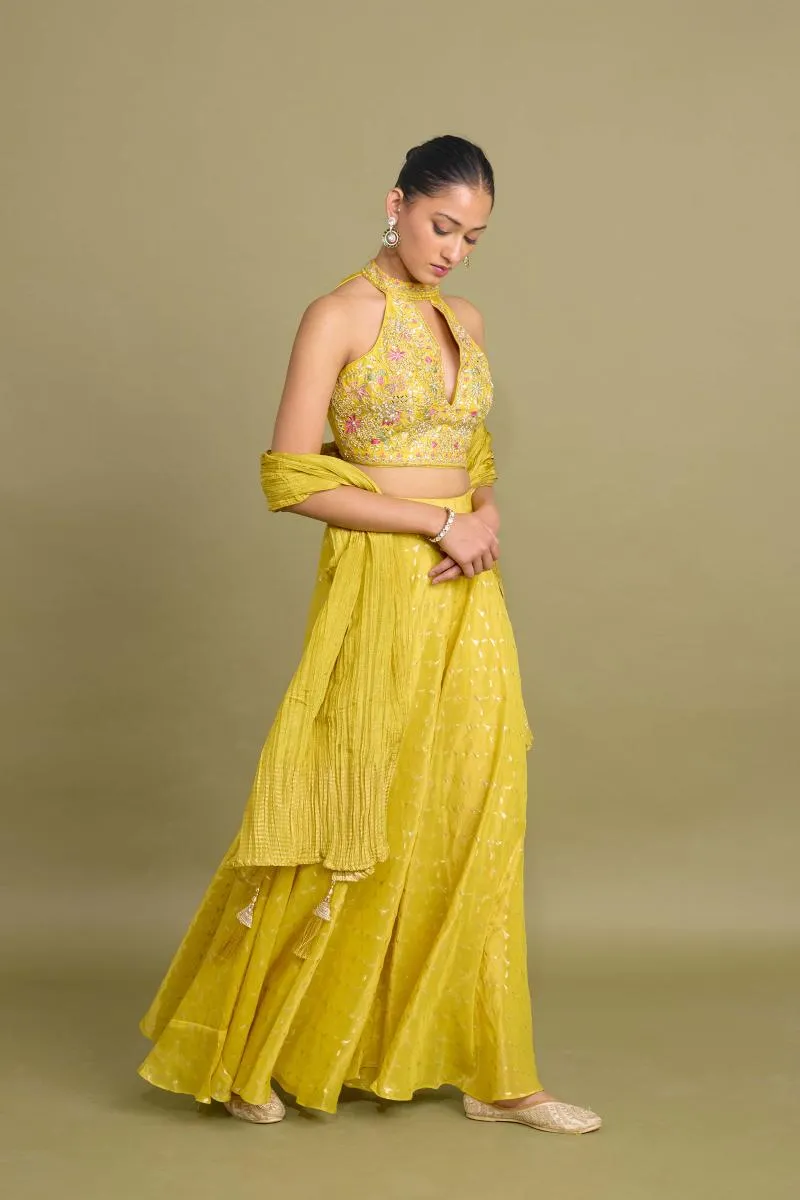 Warm Yellow Sharara Set