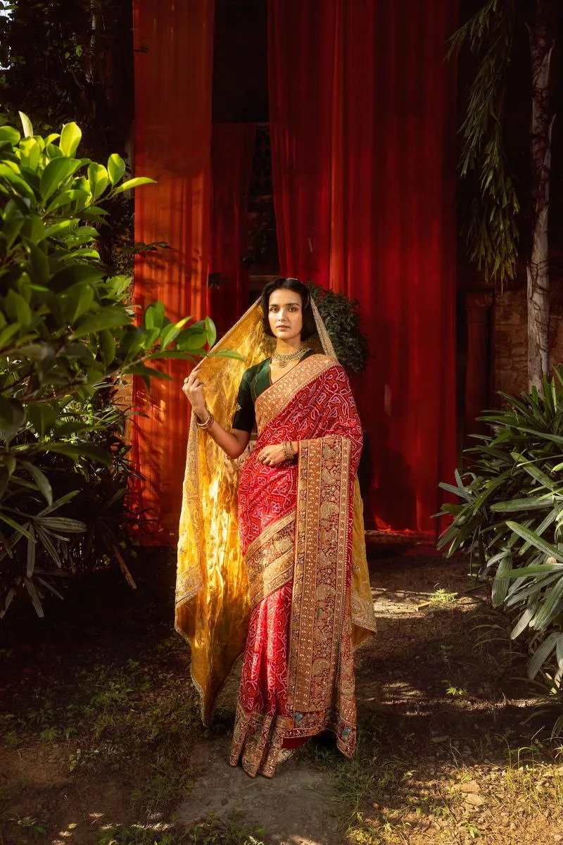 Red Bandhani Georgette Saree