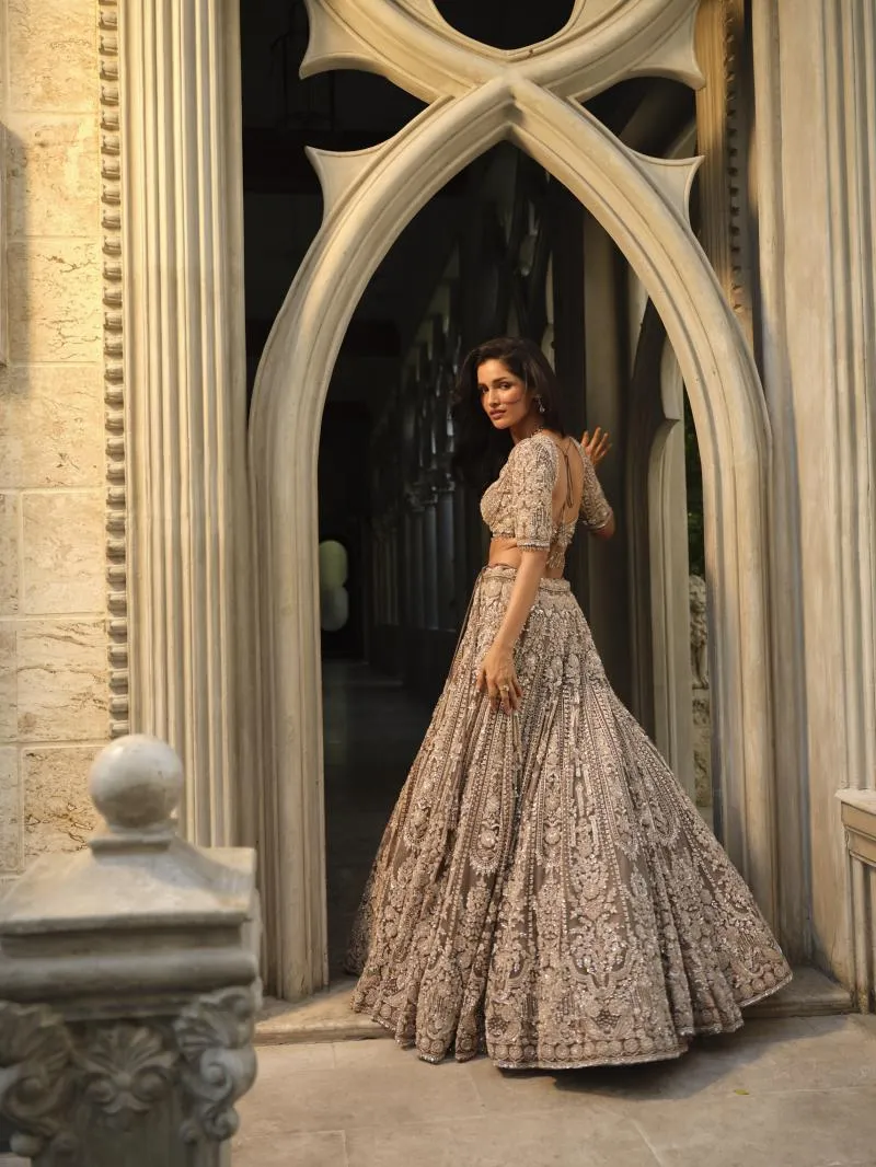 Silver Grey Net Lehenga