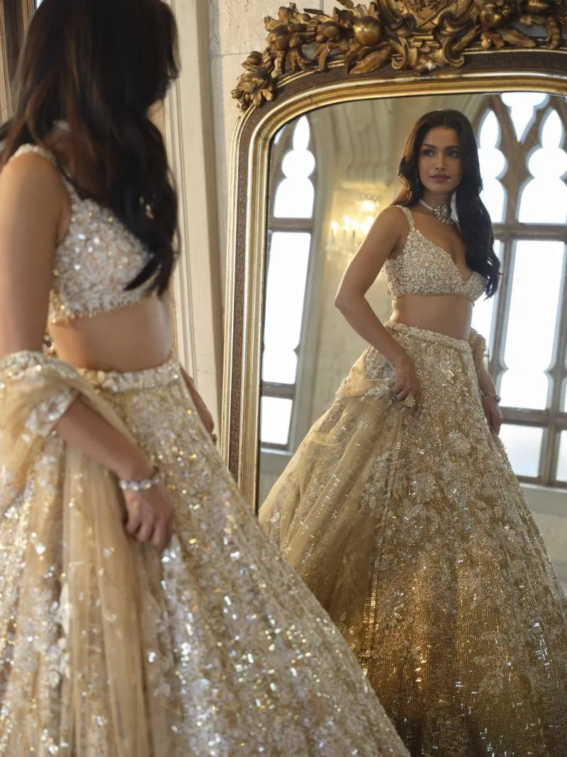 Gold Net Trail Lehenga