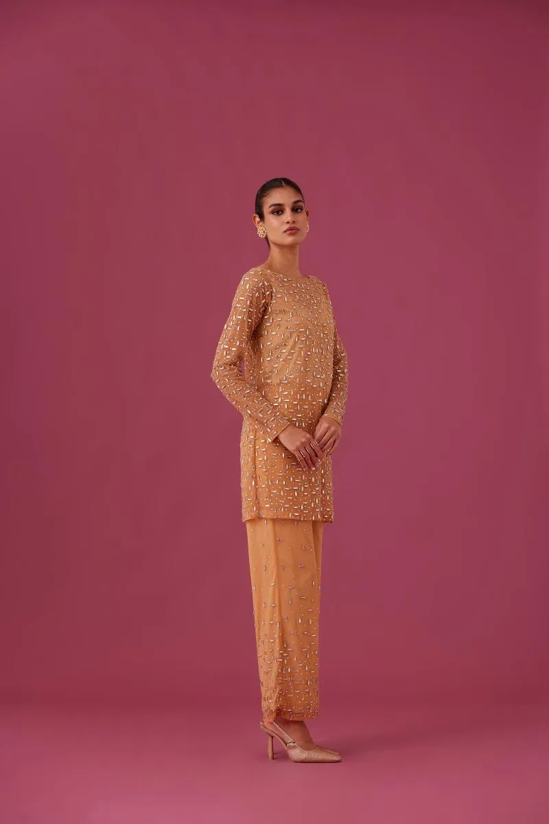 MEDHA BATRA - Champange Rose Co ord