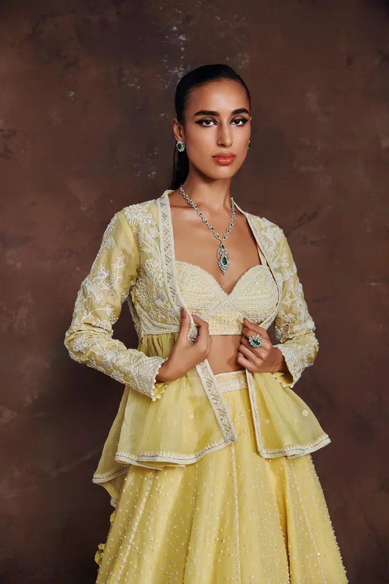 MEDHA BATRA - Ethereal Dream Lehenga Set