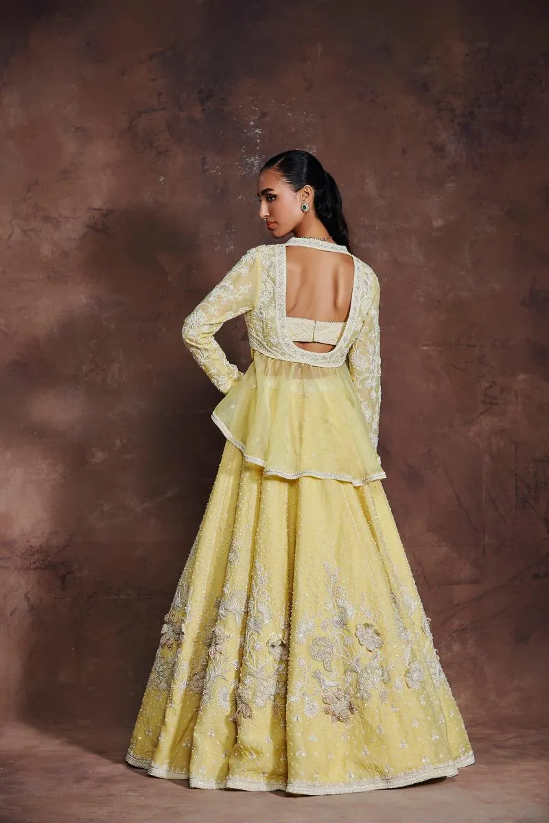 MEDHA BATRA - Ethereal Dream Lehenga Set